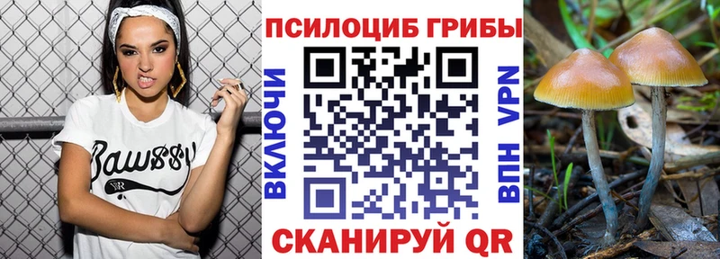 Псилоцибиновые грибы прущие грибы  Купить  Добрянка 