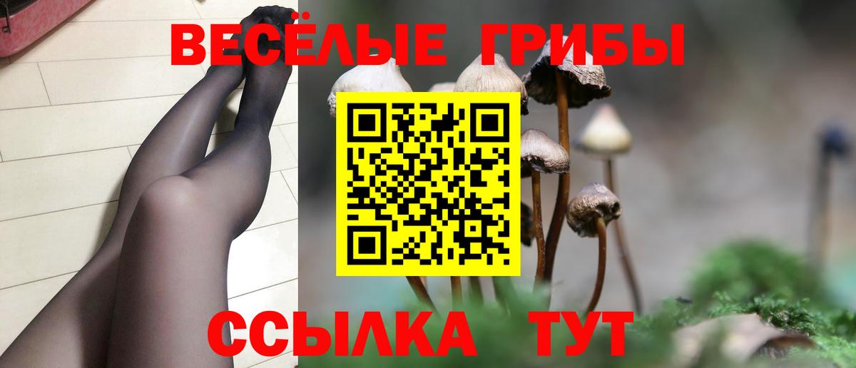 Галлюциногенные грибы прущие грибы  Галлюциногенные грибы Cubensis  Вход с VPN  Добрянка 